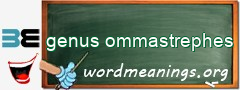 WordMeaning blackboard for genus ommastrephes